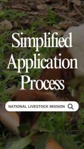 Starting your entrepreneurial journey is easy with the National Livestock Mission!
 Fill out the form at http://nlm.udyamimitra.in, review your application, and receive loan approval with subsidy disbursement. Take the first step today!