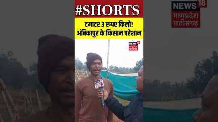 Shorts : टमाटर 3 रूपए किलो! अंबिकापुर के किसान परेशान | Ambikapur | N18S