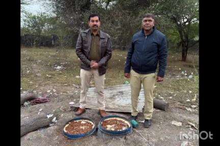 देवास नगर: अवैध शराब के संग्रहण और बिक्री के खिलाफ विशेष अभियान के तहत आबकारी विभाग की लगातार कार्रवाई जारी