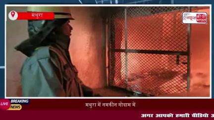 मथुरा में नमकीन गोदाम में लगी भयानक आग, 7000 पेटी जलकर राख
#मथुरा #नमकीन #गोदाम #भयानक #आग #7000 #पेटी #जलकर #राख