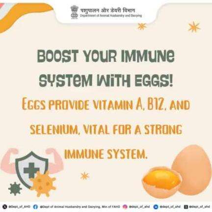 Shield your body with the power of eggs! 
Packed with vitamin A, B12, and selenium, they’re a perfect partner for a strong immune system.
#PowerOfEggs #StrongImmuneSystem #HealthyEating #Nutrition #EggBenefits #Superfood #VitaminRich