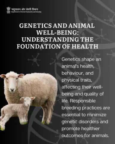 Genetics influence an animal's health, behavior, and traits, directly affecting their well-being. Ethical breeding practices help reduce genetic disorders and ensure healthier lives
#animalwelfare #animalhealth