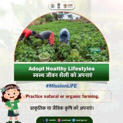 स्वस्थ जीवन शैली को अपनाएं।Adopt Healthy Lifestyles
#ChooseLiFE #MissionLiFE #moefcc
#railminindia 
#gmblw