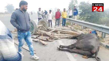 गजरौला: गजरौला तेज रफ्तार 🚗 ने भैंसा बुग्गी में टक्कर मार दी जिसमें  भैसे की मौके पर ही मौत किसान गंभीर रूप से घायल