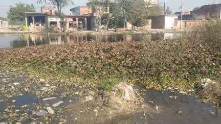 Nagar Panchayat kachhauna Patsani Mein. purana Talab bahut bada hai jismein bahut gandgi kumbhi Padi Hui Hai