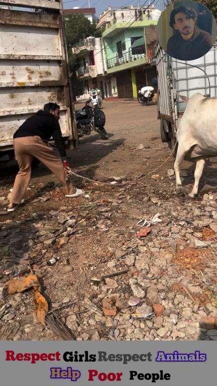 रक्षा करना, मेरा धर्म मेरा कर्तव्य है 🙏🏻

Respect Girls help poor help animals 

#apsgurjar #help #viral #support #cow #gwalior