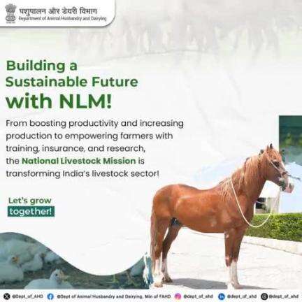 The National Livestock Mission is empowering farmers and boosting productivity to create a better tomorrow. Join the mission to grow together!
 #national_livestock_mission