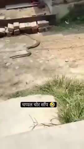 snake comedy reels #viral #short #funny #instagram #shortfunny #dance #growinstagram #uttarpradesh