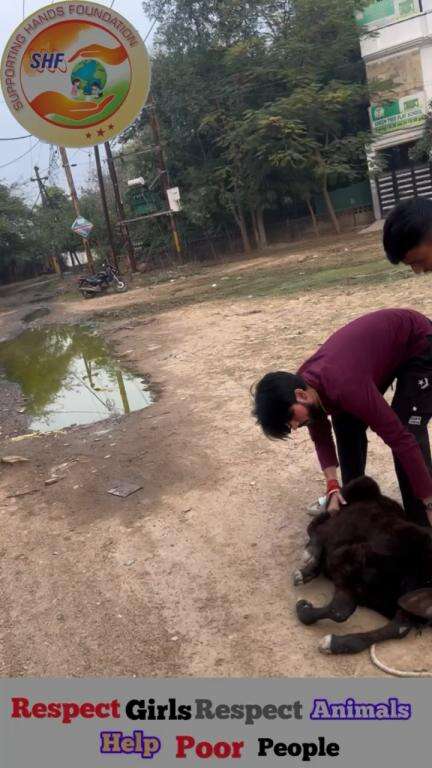 कुल्हाड़ी से मारने की कोशिश की गई गौ माता के बच्चे को🥺 कैसे कैसे लोग रहे गाये है 😡
Respect Girls help poor help animals 

#apsgurjar #gwalior