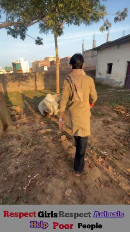 2 लोग हुए घायल फिर भी नहीं मानी हार 🙏🏻

Respect girls help poor help animals 

#apsgurjar #cow #gwalior #youtube