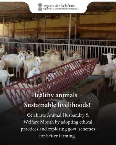 Nurturing animals, empowering farmers! 
Celebrate Animal Husbandry & Welfare Month with responsible farming and government-backed support. #AnimalWelfare #SustainableFarming