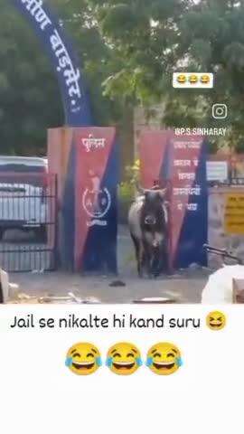 Jail se nikalte hi kand shuru 😂🤣 #viral #video #2025