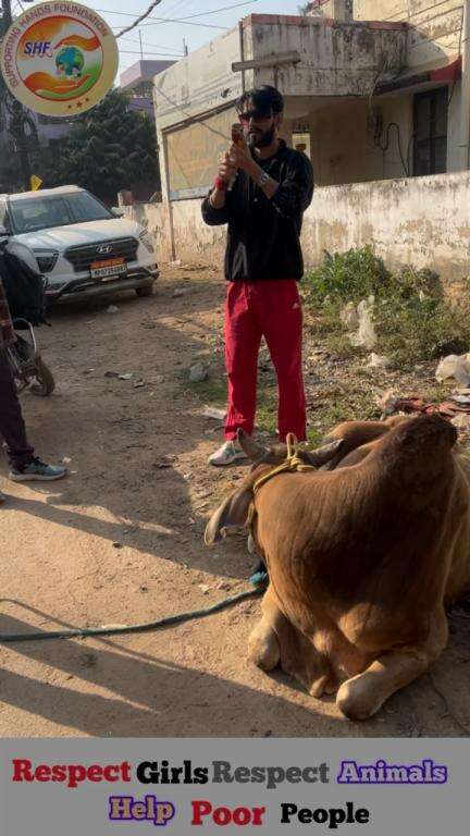 हम सब को मिलकर इनके लिये खड़ा होना पड़ेगा 🙏🏻

Respect Girls help poor help animals 

#apsgurjar