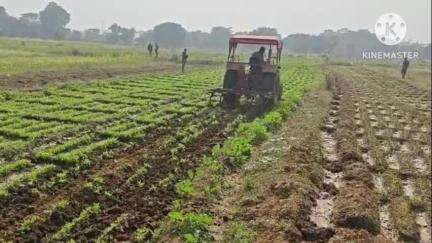 Latest News in Ranchi (Local videos) | Public App