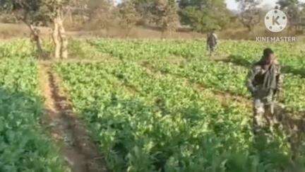 Latest News in Ranchi (Local videos) | Public App