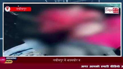 लखीमपुर में आदमखोर बाघ का आतंक, बाघ के हमले में युवक घायल; 6 महीनों में 6 लोगों की मौत
#लखीमपुर #आदमखोर #बाघ #आतंक