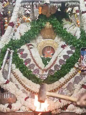 🌺🌻🌻 
*#श्री_हनुमान_जी_महाराज जी की प्रातः कालीन शुभ मंगला श्रृंगार आरती दर्शन*🌺 _*#श्री_हनुमानगढ़ी_अयोध्याधामजी।।*_ 🌺🌻 दिनांक~11/2/2025 मंगलवार 🌻🌺 श्री हनुमान जी महाराज सबके सकल मनोरथ सिद्ध करें।। स्वस्थ और प्रसन्न चित्त रखें।।🌺🌻