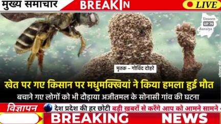 12 February 2025 । Auraiya Ki Badi Khabren औरैया की बड़ी ख़बरें । Auraiya News औरैया की ताजा ख़बरें