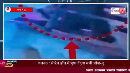 Lucknow : मैरिज हॉल में घुसा तेंदुआ... मची चीख-पुकार, हमले में दरोगा घायल; सामने आया वीडियो
#Lucknow #मैरिज #हॉल