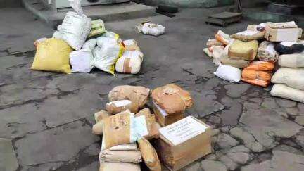 திசையன்விளை: பொத்தையடி கிராமத்தில் 263 கிலோ கஞ்சா அழிப்பு