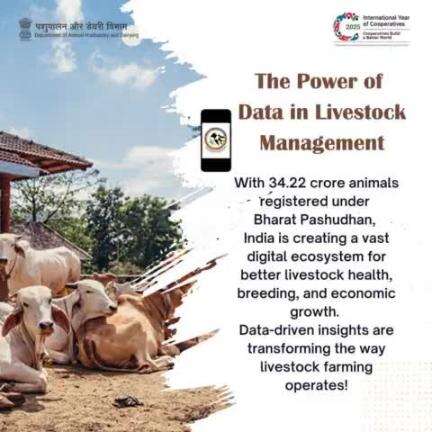 The Power of Data in Livestock Management
Data-driven insights transform livestock farming, empowering farmers with the knowledge for better health, breeding, and growth.
#EmpoweringFarmers #TechForLivestock #SmartlivestockFarming