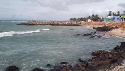திசையன்விளை: கூத்தங்குழி கடற்கரையில் சிக்கிய நட்சத்திர ஆமை வனத்துறையினரிடம் ஒப்படைப்பு