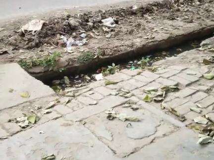 kanpur ke yashoda nagar me sanik chauraha ke pas nagar nigam naliya saf karti hai to kachda uthane nahi ate hai