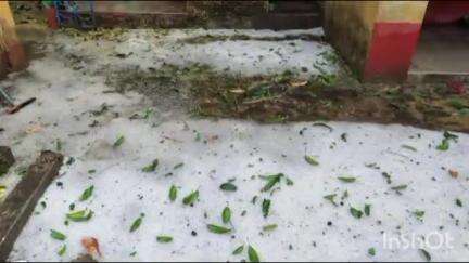 গঙ্গাজলঘাটি: গঙ্গাজলঘাটি ব্লকের ভক্তাবাঁধে শিলাবৃষ্টি, দেখুন সেই ছবি