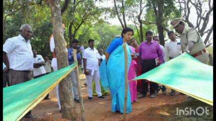 நெமிலி: நெமிலி உள்ளிட்ட பல்வேறு பகுதிகளில் மாவட்ட ஆட்சியர் ஆய்வு
