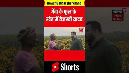 #Shorts : गेंदा के फूल के खेत में तेजस्वी यादव | Tejashwi Yadav in Field | Bihar News | Latest News