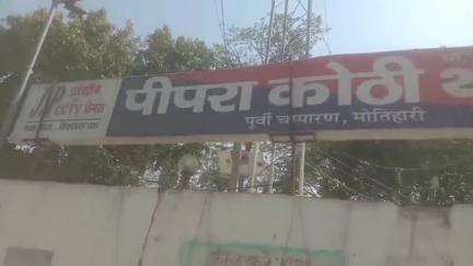 पीपराकोठी: पीपराकोठी पुलिस ने बुधवार को 15 मवेशियों सहित पीकअप चालक और एक तस्कर को किया गिरफ्तार