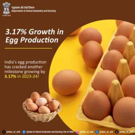 India’s egg-citing growth story continues!
A 3.17% rise in production this year means more nutrition, more food security, and a brighter future for all.
#EggProduction #NutritionForAll #FoodSecurity #GrowthStory #SustainableFarming