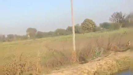 जवा: गौ माता की रक्षा के लिए शासन और प्रशासन मौन भाषण और कागजी कार्रवाई तक सीमित, गौ रक्षा