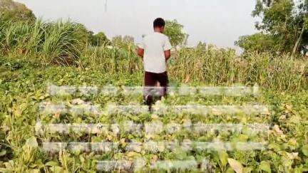 MENTAL STRESS & FARMER #FARMER #किसान #life #loan #faridabad #फरीदाबाद #india #viral