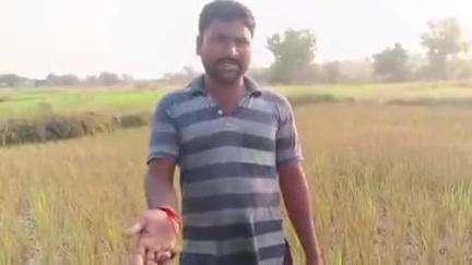 అడ్డాకుల: మహబూబ్నగర్ జిల్లా  అడ్డాకల్ మండలంలో
ఎండిన పంటలు.. రైతు ఆవేదన.