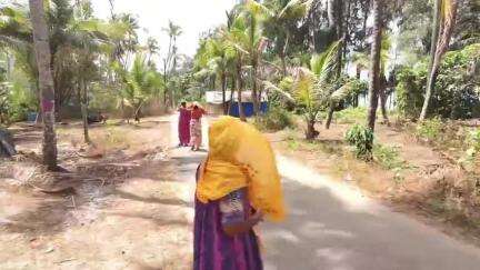 കൊടുങ്ങല്ലൂർ: കയ്പമംഗലം വഞ്ചിപ്പുര ബീച്ചിന് സമീപം തൊഴിലുറപ്പ് തൊഴിലാളികൾക്ക് കടന്നൽ കുത്തേറ്റു