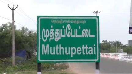 முத்துப்பேட்டை பகுதியில் ஐந்து நாட்களாக சுற்றித்திரிந்த காட்டெருமை தற்போது கற்பகநாதர் குளம் குடியிருப்பு பகுதியில் புகுந்ததால் பொதுமக்கள் அச்சம்