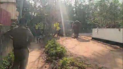 കൊടുങ്ങല്ലൂർ: കയ്പമംഗലം മൂന്നുപീടിക ബീച്ച് കോഴിപറമ്പിൽ ശ്രീധർമ്മ ശാസ്ത ക്ഷേത്രത്തിൽ ഉത്സവത്തിനായി കൊണ്ടുവന്ന ആനയിടഞ്ഞു