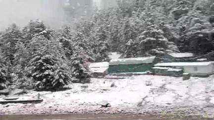 भटवाड़ी: जनपद के ऊंचाई वाले क्षेत्रों में बर्फबारी शुरू, निचले क्षेत्रों में बारिश जारी