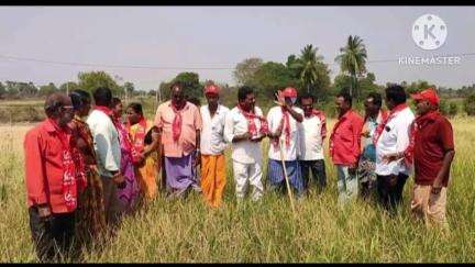 చిట్యాల: ఎండిపోయిన పంట పొలాలకు నష్టపరిహారం ఇచ్చి రైతులను ఆదుకోవాలి:సిపిఎం జిల్లా కమిటీ సభ్యులు జిట్ట నగేష్