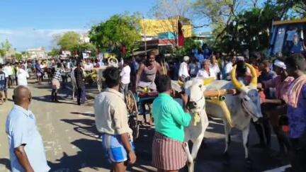 திருவாடனை: தமிழக முதல்வர் பிறந்த நாளை முன்னிட்டு பேருந்து நிலையம் அருகே மாட்டுவண்டி பந்தயம்