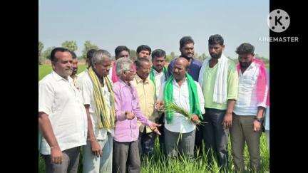 చిట్యాల: పంట నష్టపోయిన రైతులను ఆదుకోవాలి: మాజీ ఎమ్మెల్యే చిరుమర్తి లింగయ్య