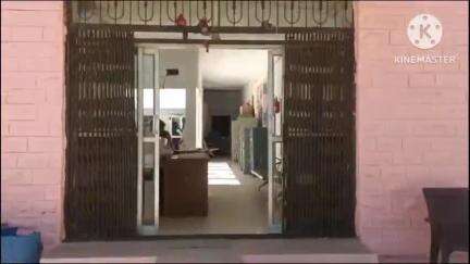 एनडीपीएस के प्रकरण में मौलासर पुलिस ने एक आरोपी को गिरफ्तार किया, 160 अफीम के हरे पौधे किए ज़ब्त