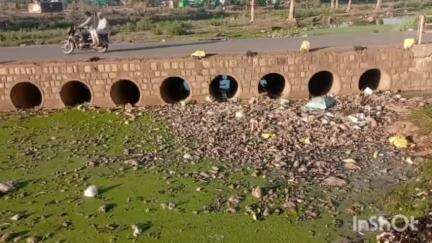 शाहगढ़: शाहगढ़ में लांच नदी की गंदगी की सोशल मीडिया पर लोगों ने की शिकायत, नगर परिषद ने शुरू की सफाई