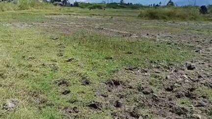 மோகனூர்: நா.புதுப்பட்டியில் வடகிழக்கு பருவ மழையால் பாதிக்கப்பட்ட விவசாய நிலங்களை ஆட்சியர் உமா ஆய்வு செய்தார்
