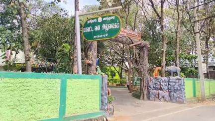 பென்னாகரம்: பென்னாகரம் அருகே யானையை சுட்டுக்கொண்டு தந்தத்தை வேட்டையாடி சென்ற கும்பலில் மூன்று நபர்கள் கைது