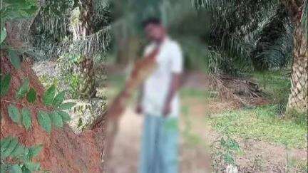 తెలికిచెర్ల గ్రామంలో విషాదకర ఘటన, సొంత పొలంలో మామిడి చెట్టుకు ఉరి వేసుకున్న రైతు