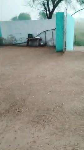 gaon moodiya m bhari barish ke sath olavrishti