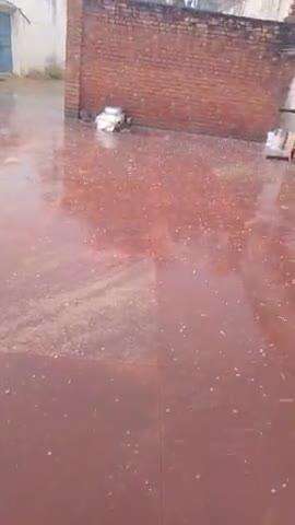 गुर्दा नदी में ऑल की बरसात से फसल चौपट जो 15 मिनट पड़ी है जिससे फसल को बहुत नुकसान हुआ है