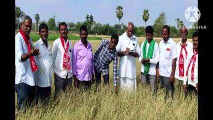 చిట్యాల: ఎండిపోయిన పంటల వివరాలను అధికారులతో సర్వే చేయించి తగిన నష్టపరిహారం అందించాలి: రైతు సంఘం రాష్ట్ర నాయకులు చంద్రారెడ్డి